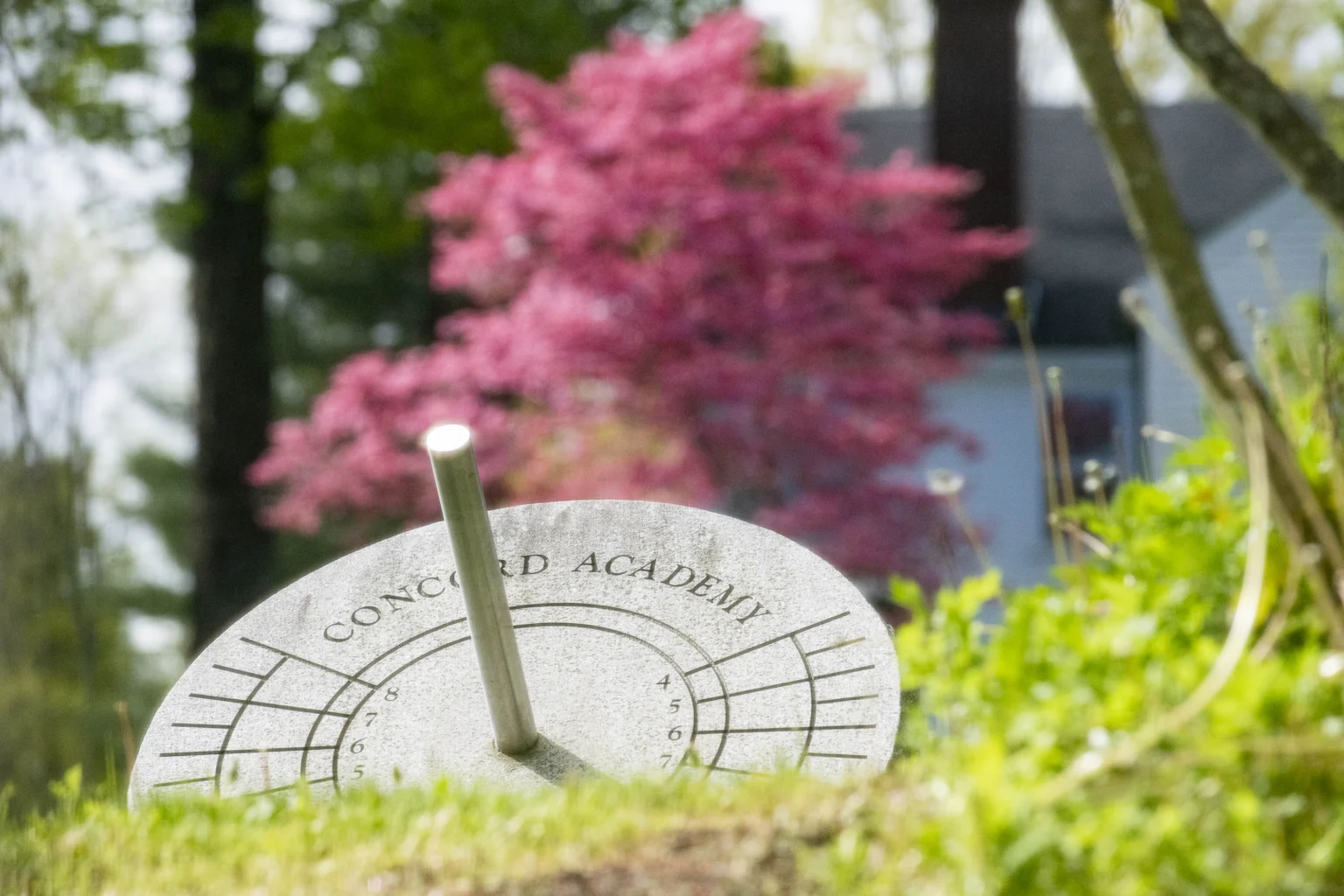 A sundial with the inscription "Concord Academy" set in a grassy area, with a blurred background of a blooming pink tree and a building.